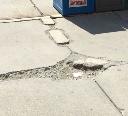 Image submitted with report