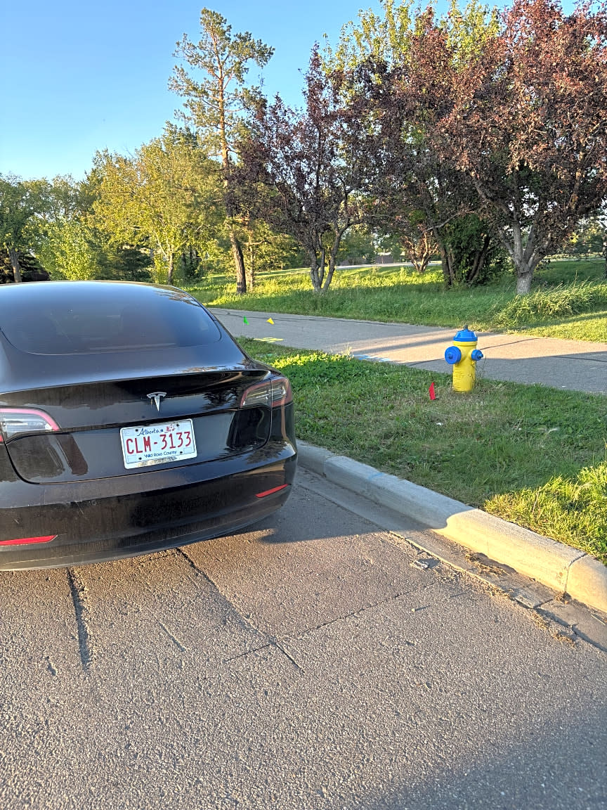 Image submitted with request