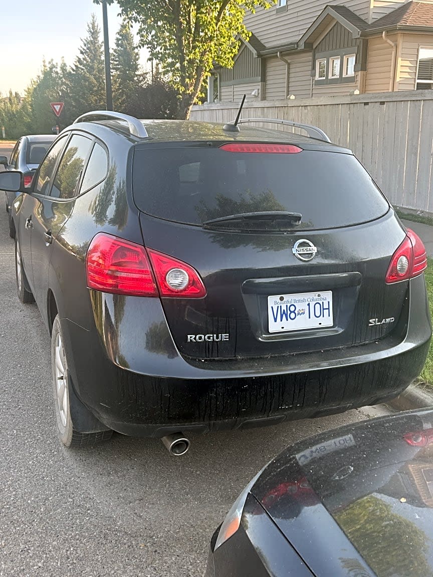 Image submitted with request