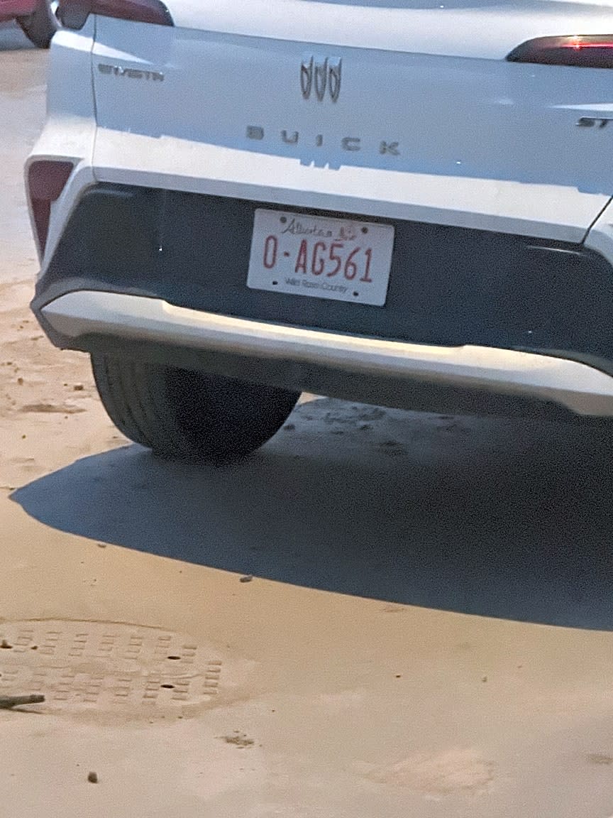 Image submitted with request