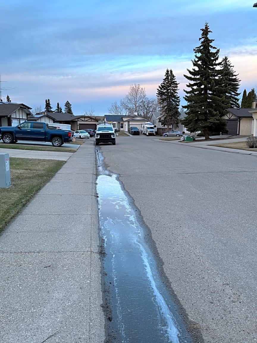 Image submitted with request