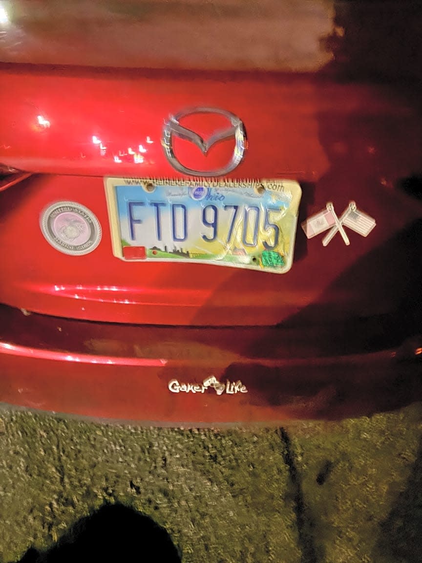 Image submitted with request