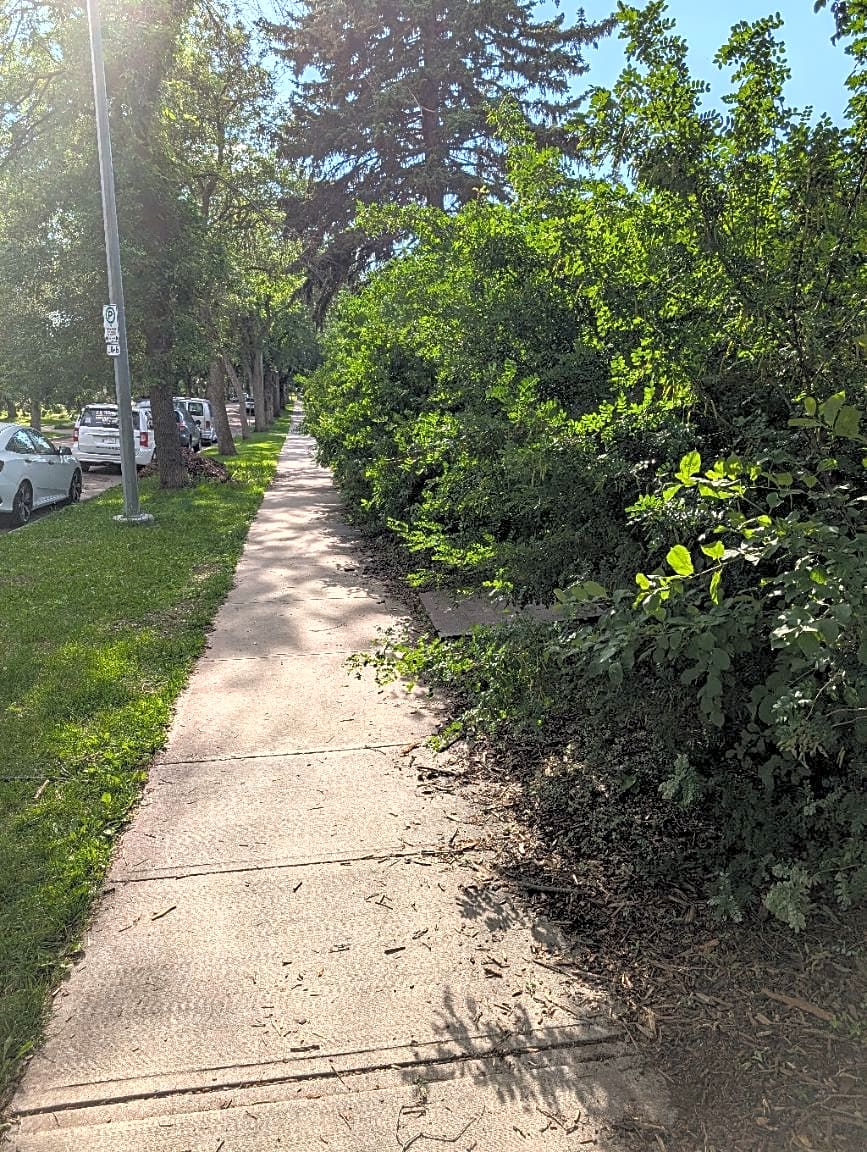 Image submitted with request