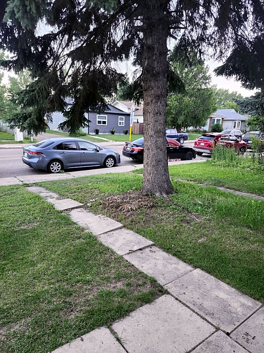Image submitted with request