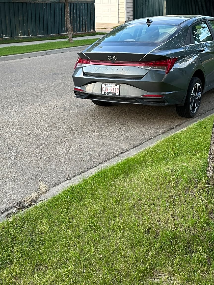 Image submitted with request
