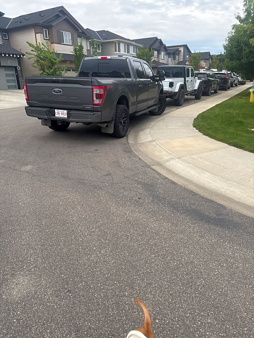 Image submitted with request