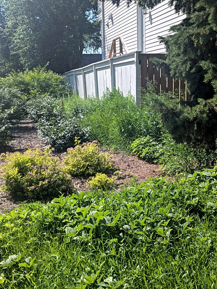 Image submitted with request