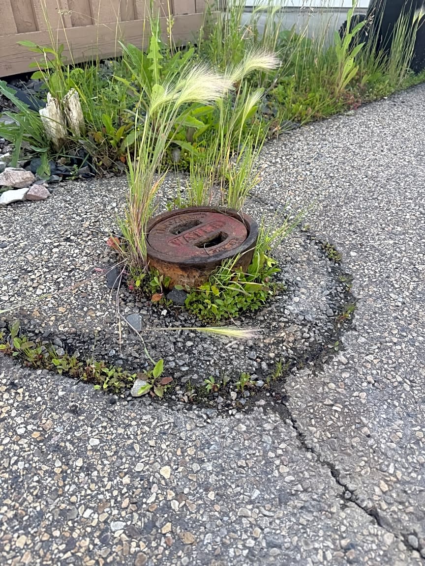 Image submitted with request