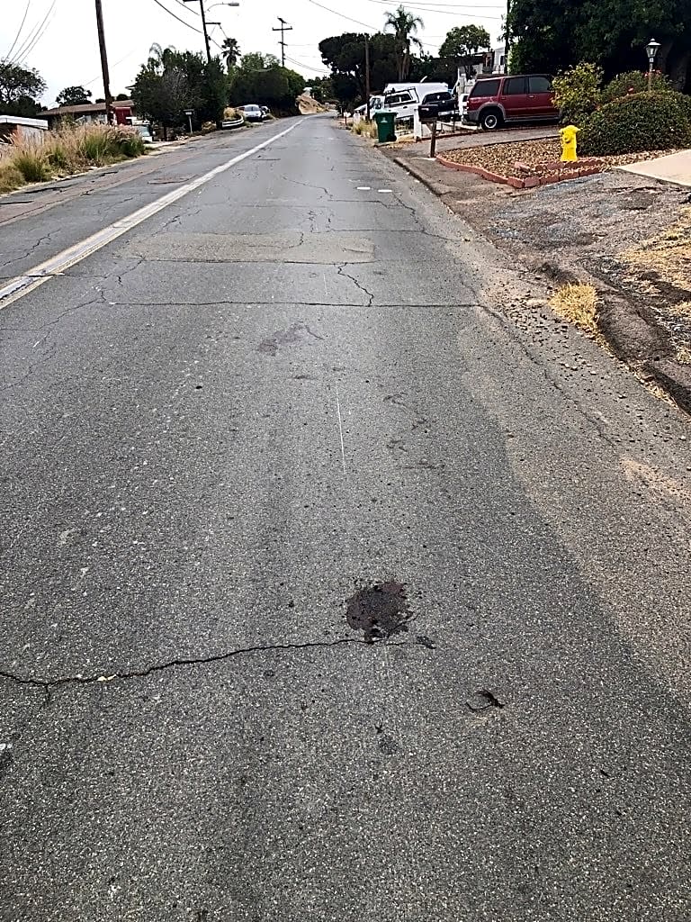 Image submitted with report