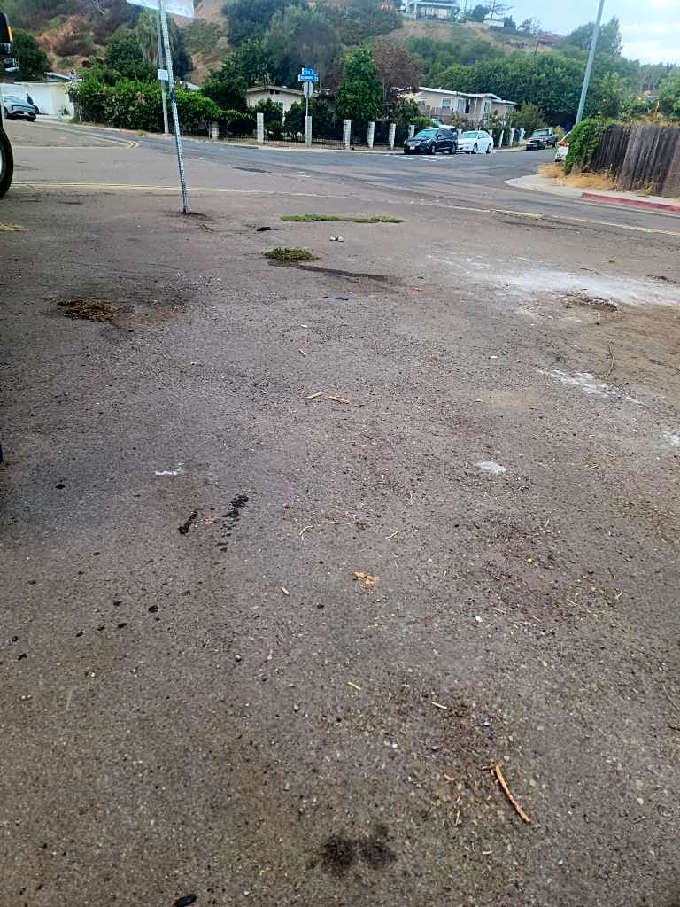 Image submitted with report