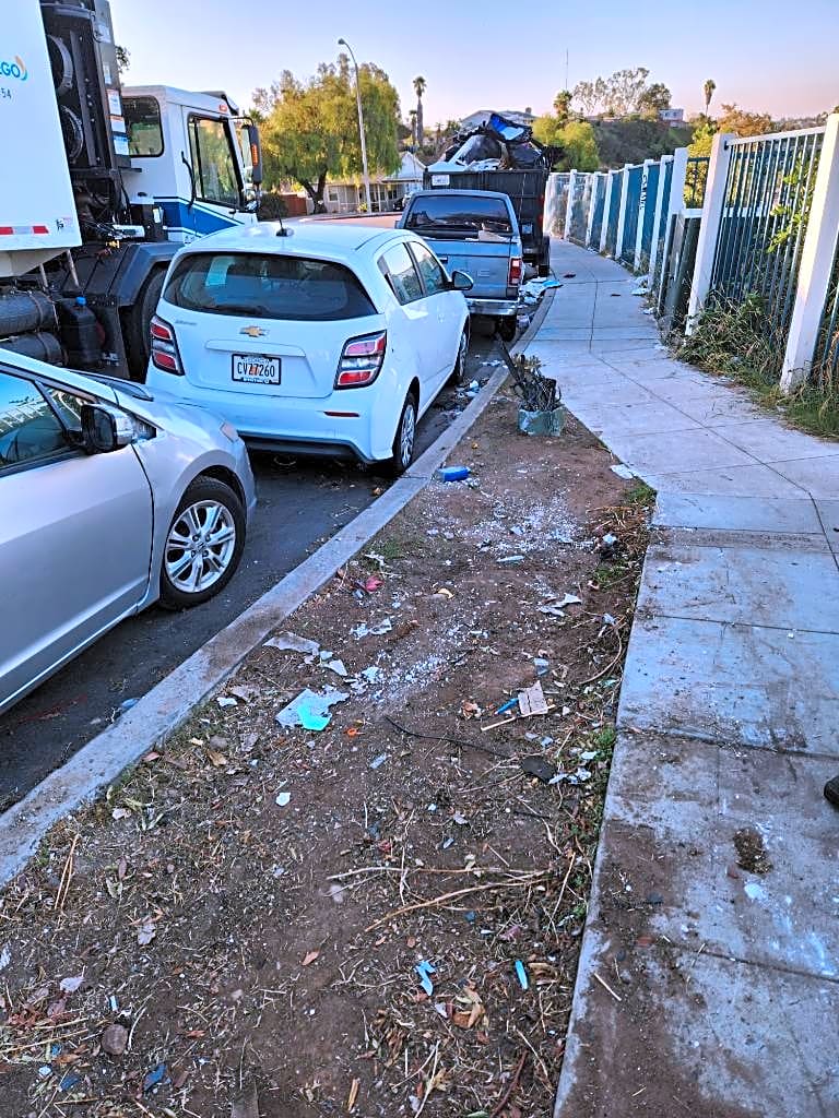 Image submitted with report