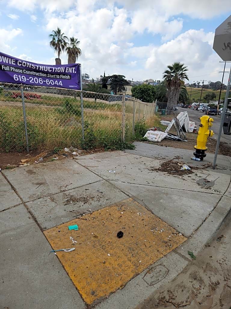 Image submitted with report