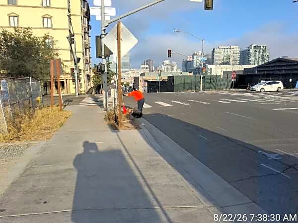 Image submitted with report