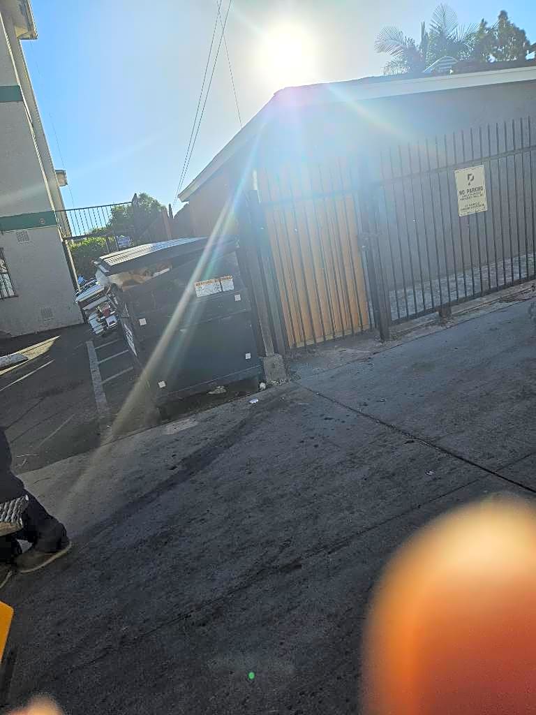 Image submitted with report