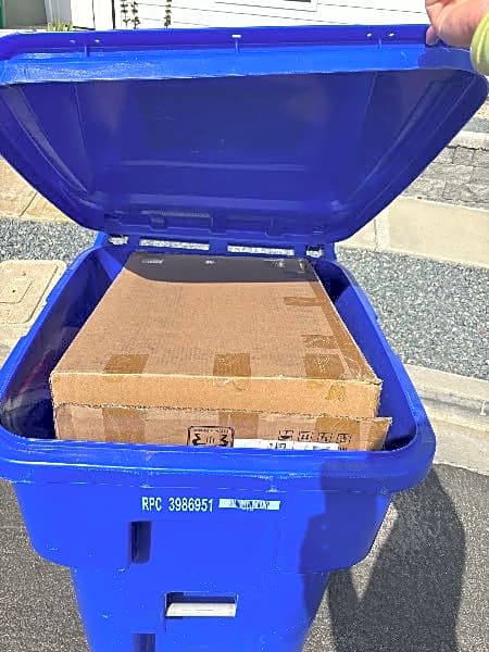 Image submitted with report