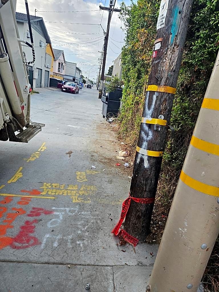 Image submitted with report