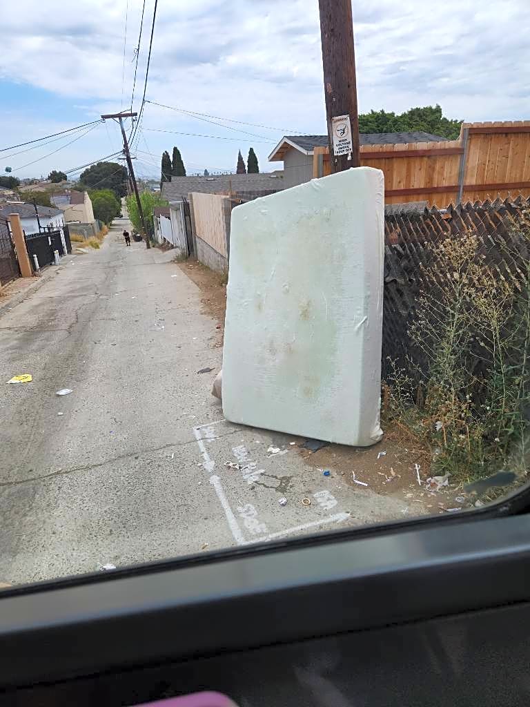 Image submitted with report