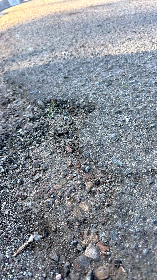 Image submitted with report