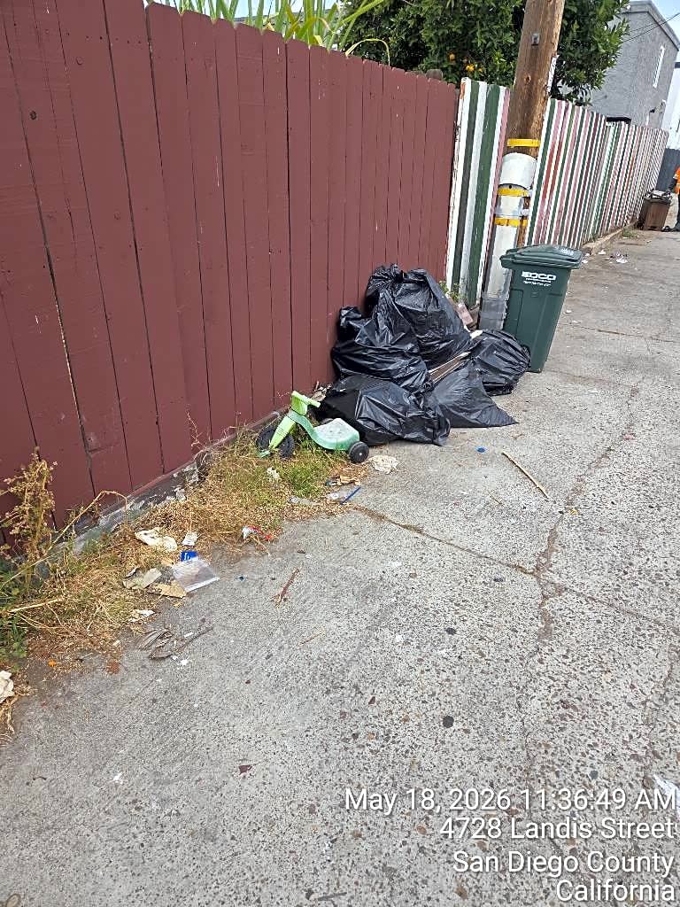 Image submitted with report