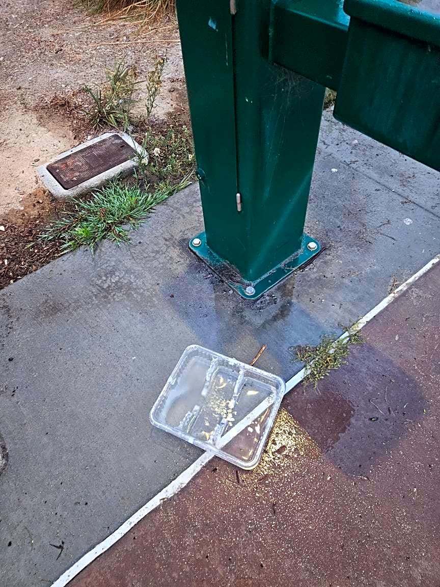 Image submitted with report