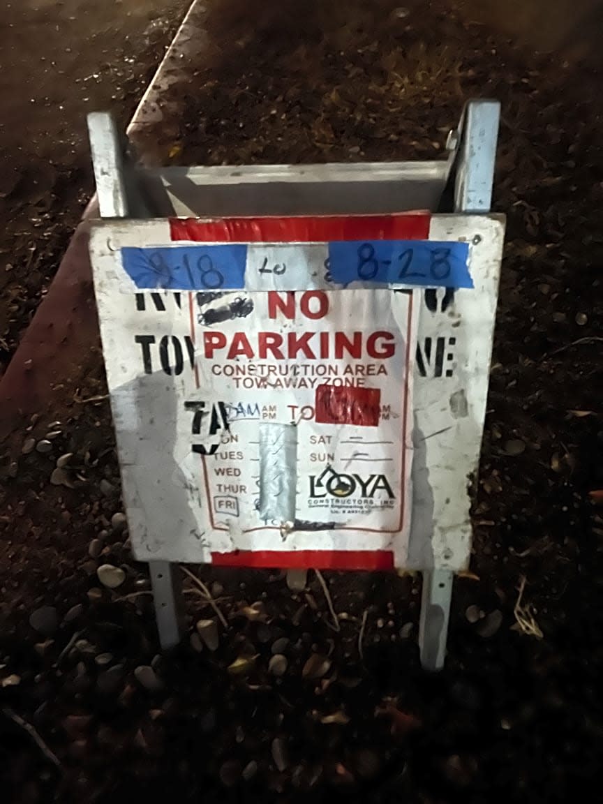 Image submitted with report