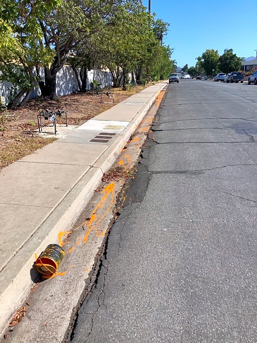 Image submitted with report