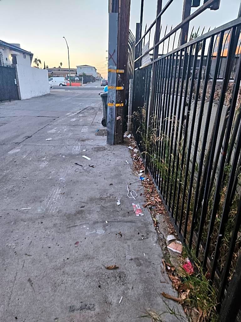 Image submitted with report