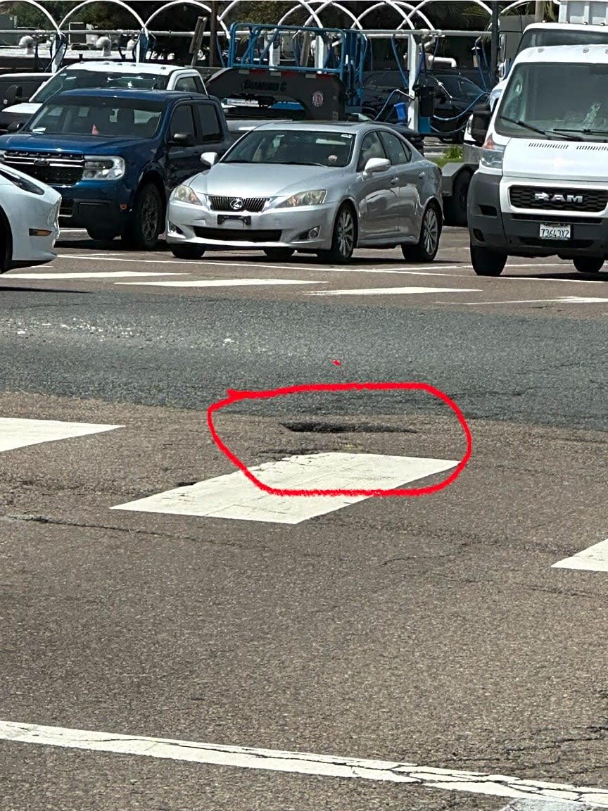 Image submitted with report