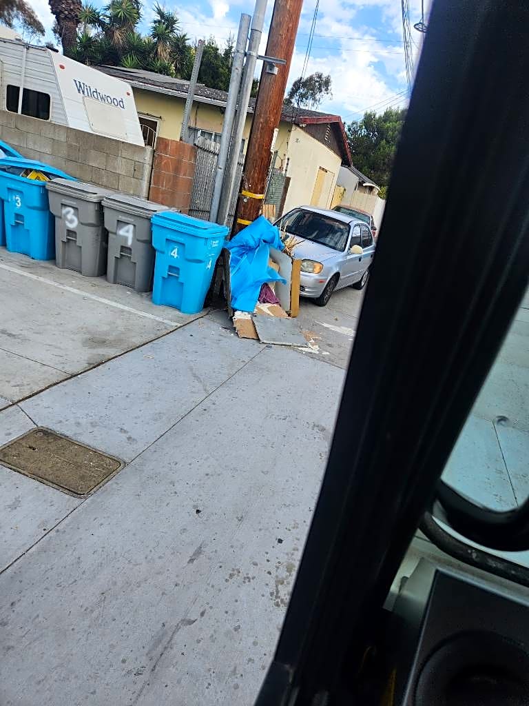 Image submitted with report