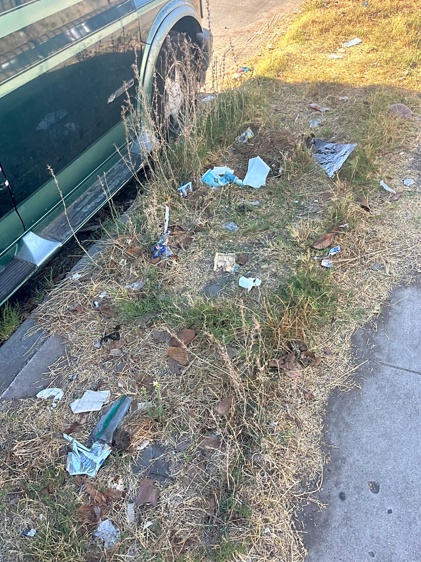 Image submitted with report
