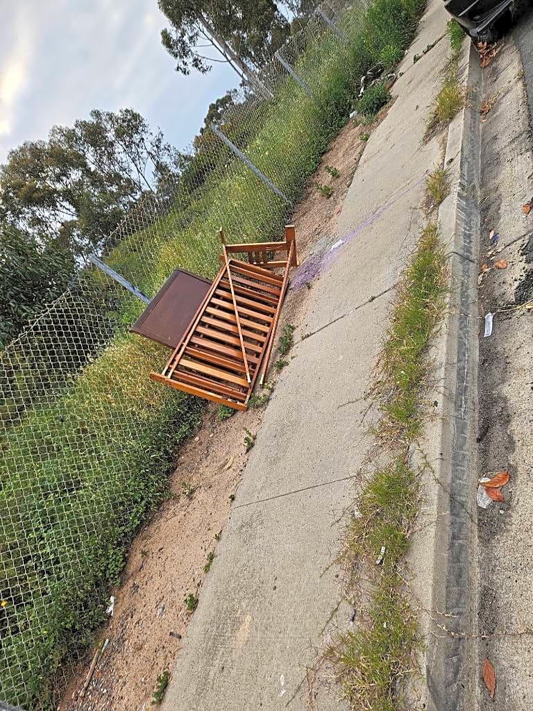 Image submitted with report