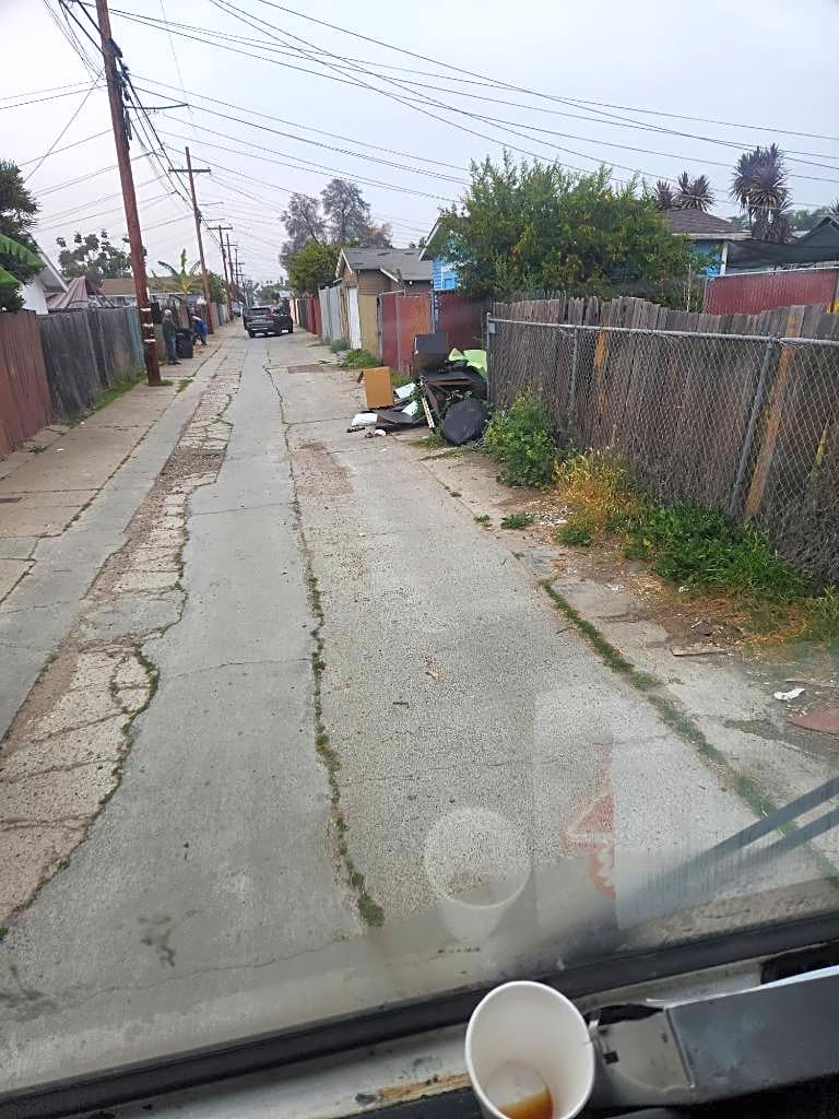 Image submitted with report