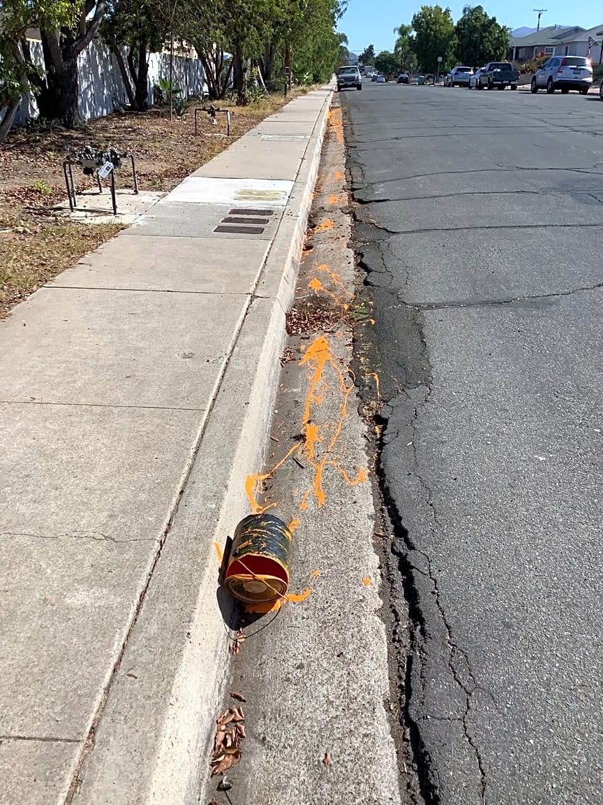Image submitted with report