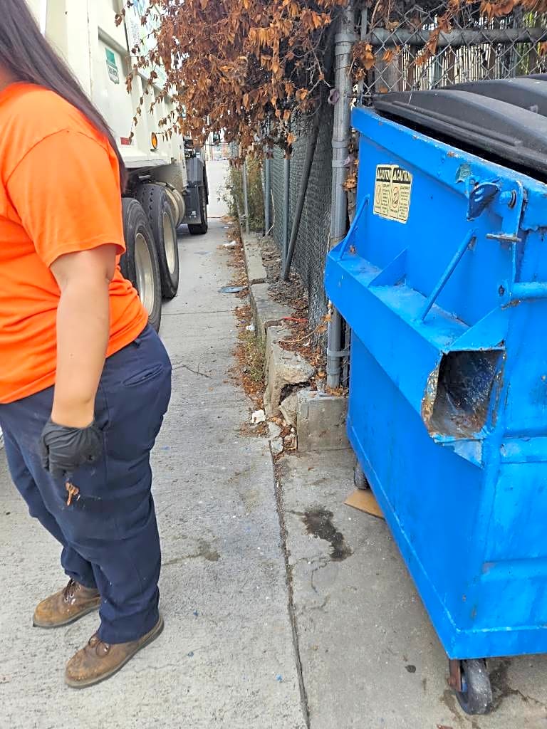 Image submitted with report