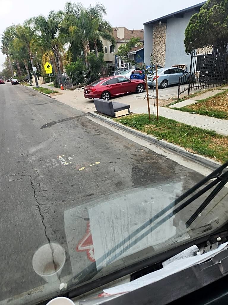 Image submitted with report