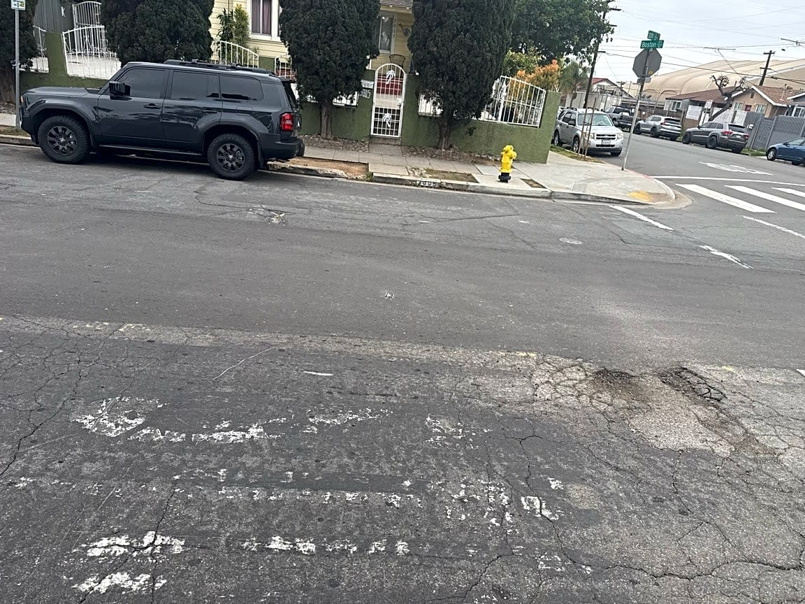 Image submitted with report