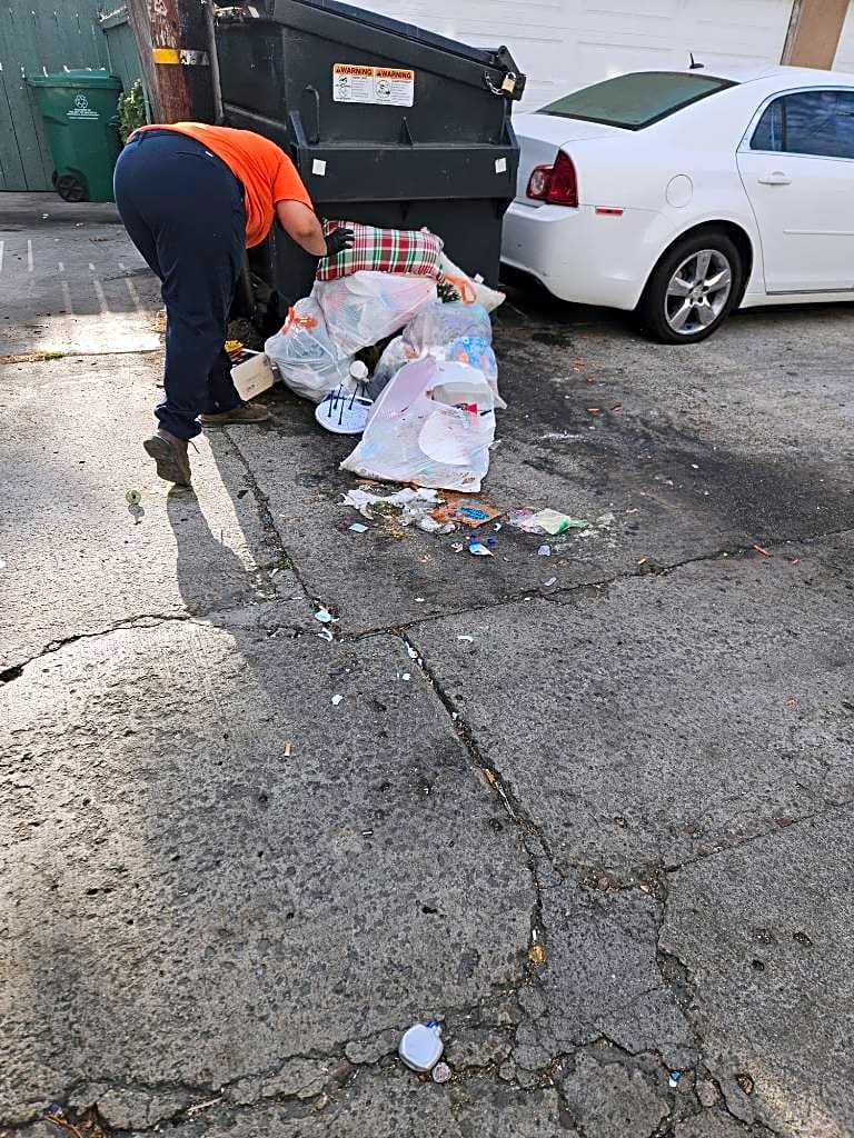 Image submitted with report