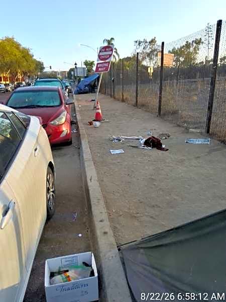 Image submitted with report
