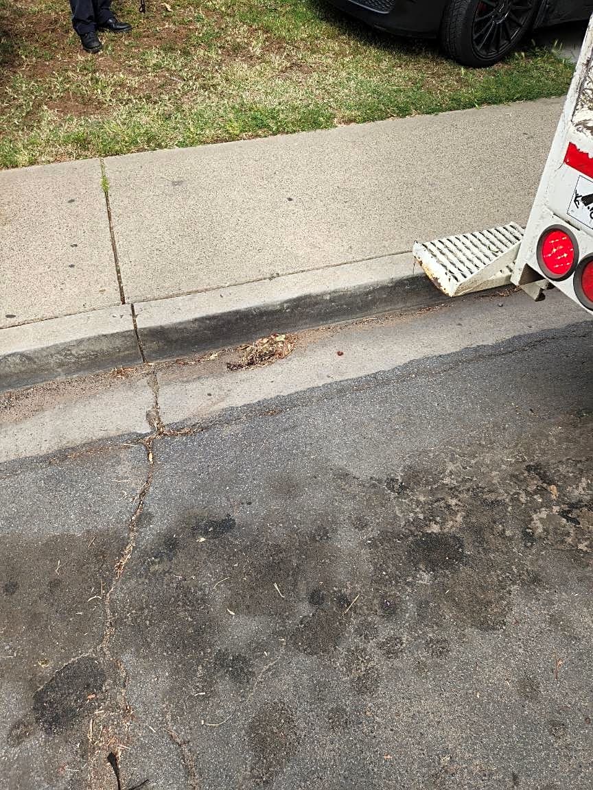 Image submitted with report