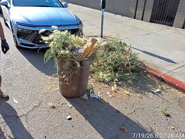 Image submitted with report