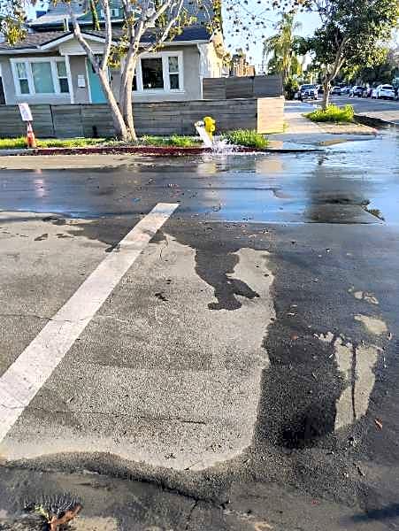 Image submitted with report