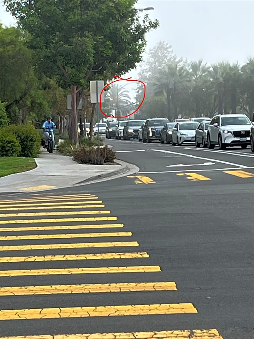 Image submitted with report