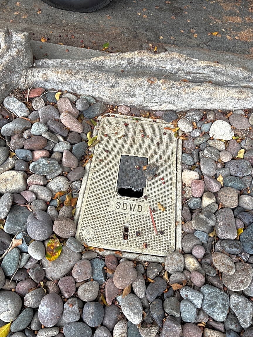 Image submitted with report
