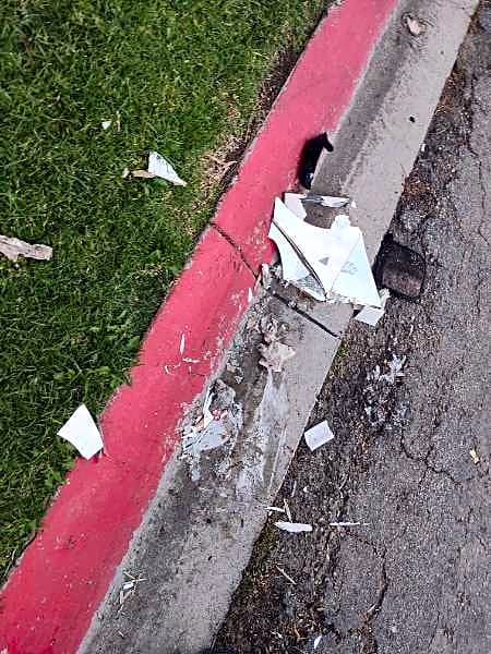 Image submitted with report