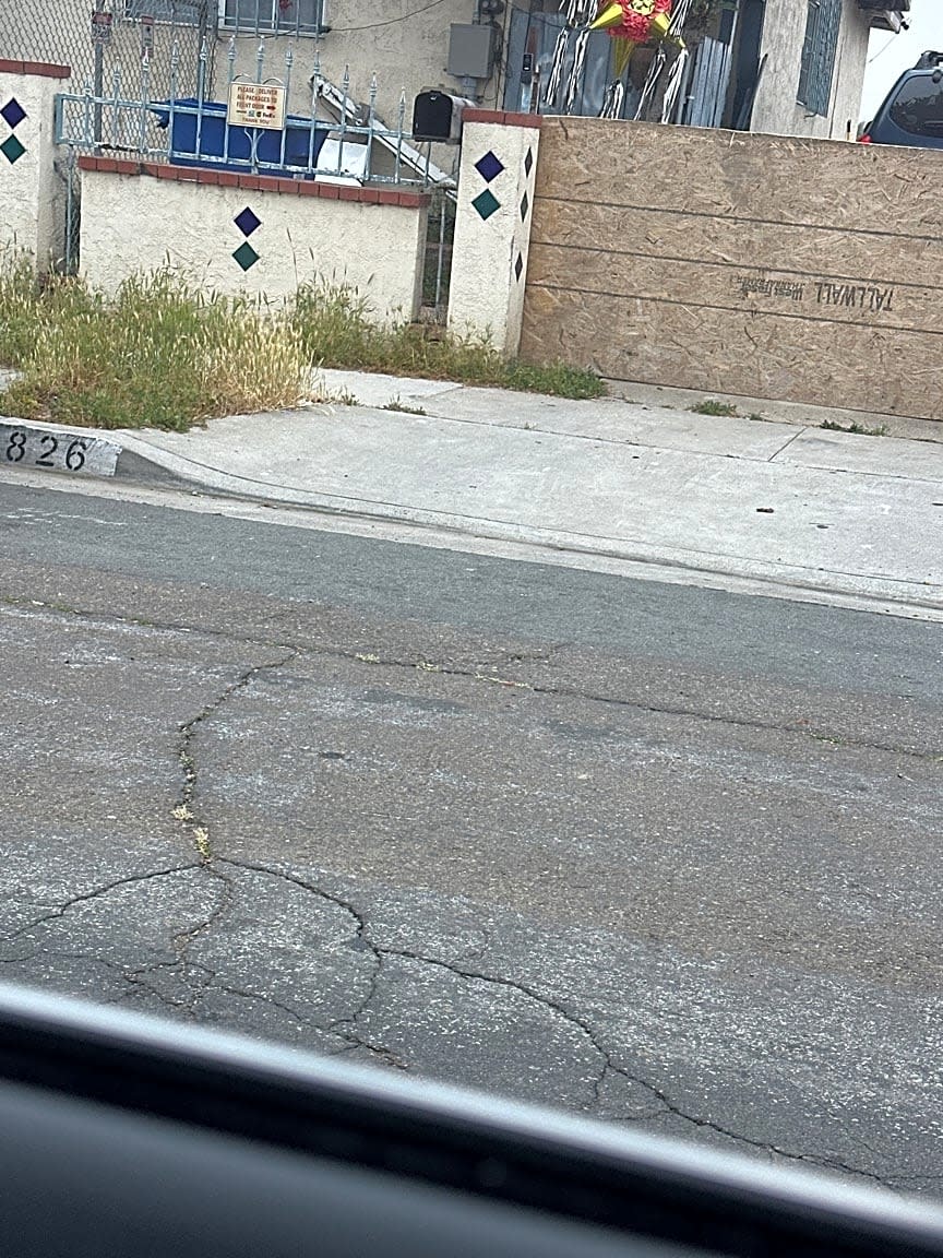 Image submitted with report