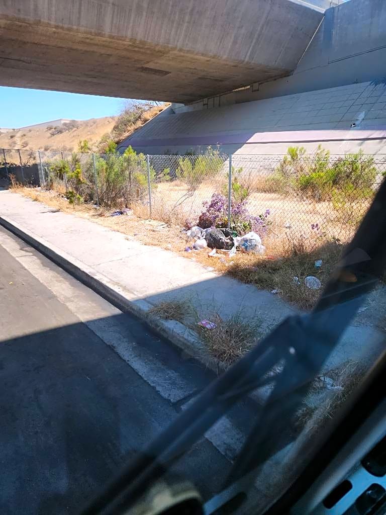 Image submitted with report