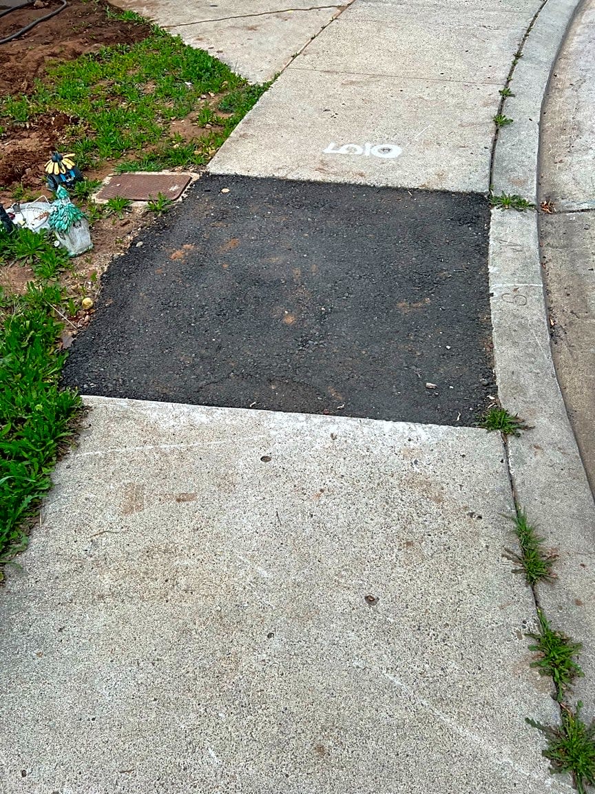 Image submitted with report