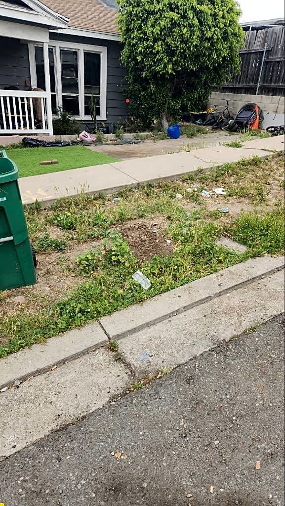 Image submitted with report