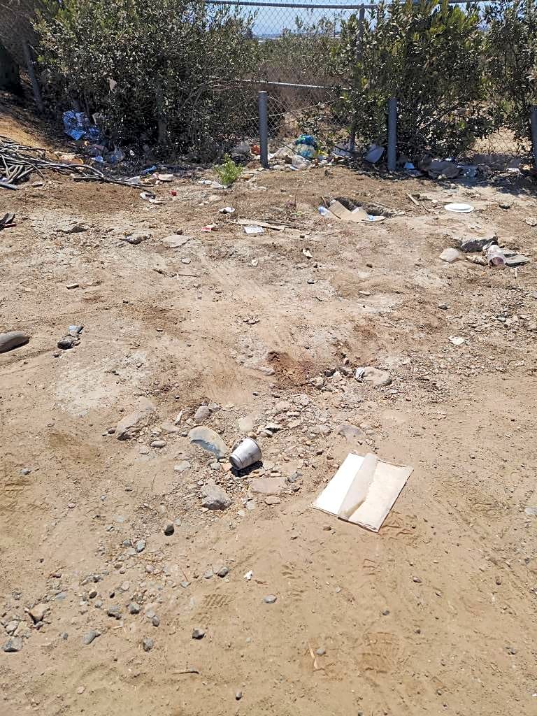 Image submitted with report