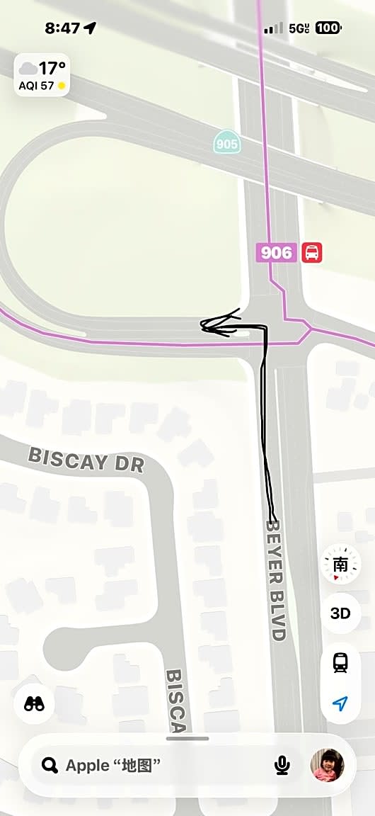 Image submitted with report